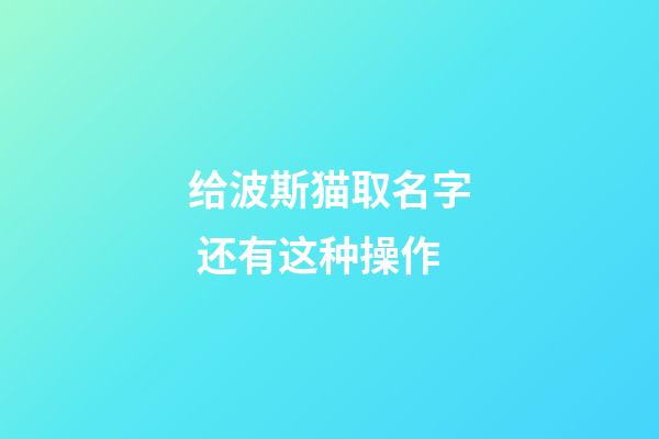 给波斯猫取名字 还有这种操作
